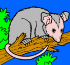 Dibujo Ardilla possum pintado por grfwqw