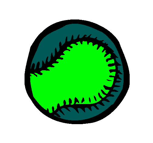 Pelota de béisbol