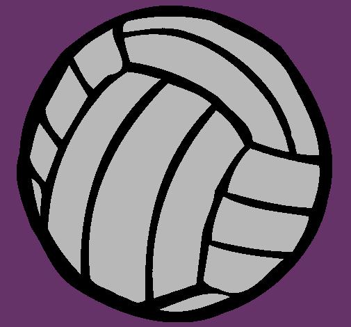 Pelota de voleibol