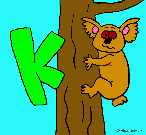 Koala