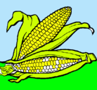Dibujo Mazorca de maíz pintado por tottoto