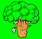 Dibujo Brócoli pintado por bgrdvgff