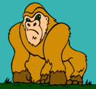 Dibujo Gorila pintado por marcelaaraya