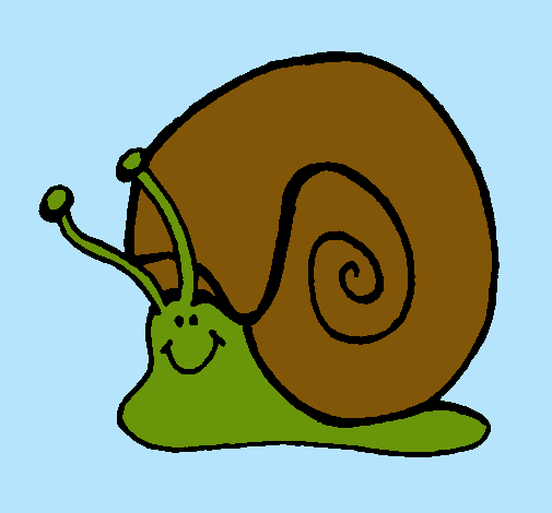 Caracol 