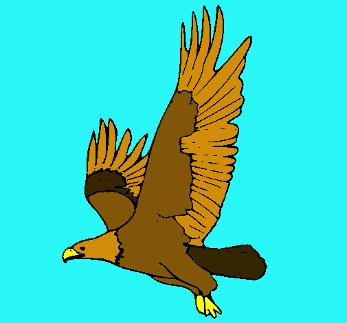 Águila volando