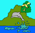 Dibujo Delfín y gaviota pintado por artemisa
