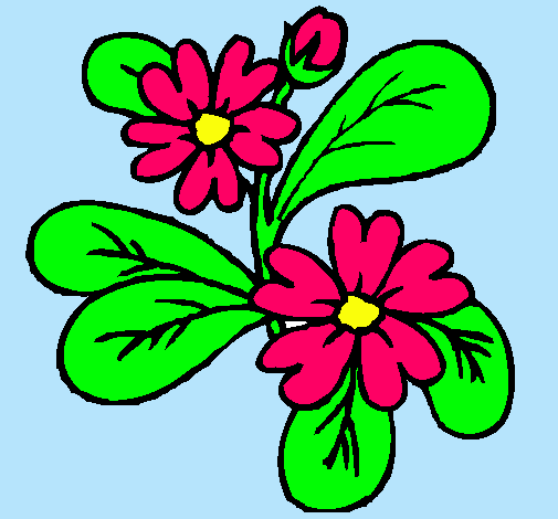 Dibujo Flores pintado por Mirene