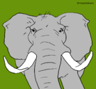 Dibujo Elefante africano pintado por facundosured