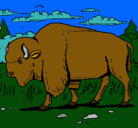 Dibujo Búfalo  pintado por crisnamar