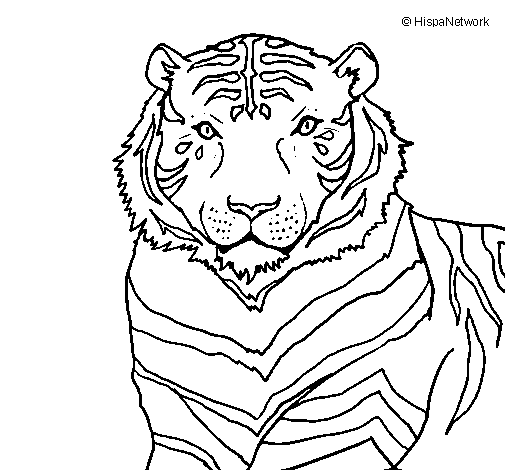 Dibujo Tigre pintado por soad