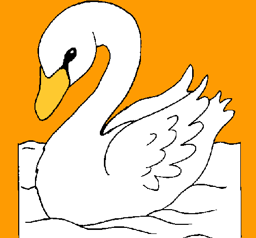 Cisne