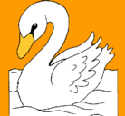 Dibujo Cisne pintado por fernandoe