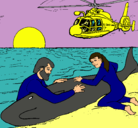 Dibujo Rescate ballena pintado por minimon