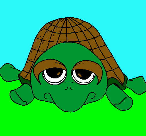 Tortuga