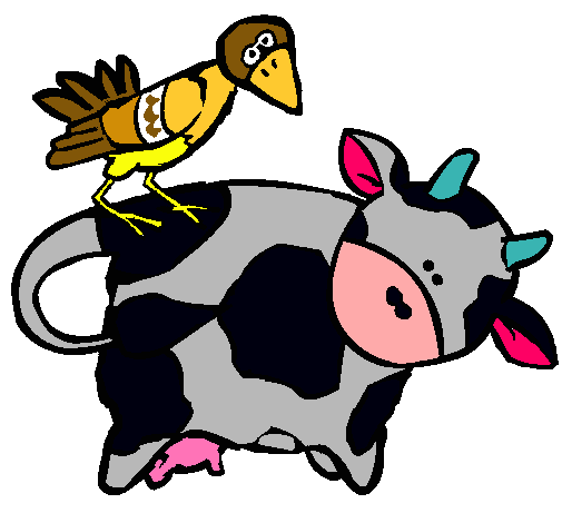 Vaca y pájaro