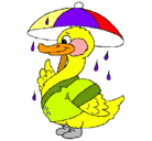 Dibujo Pato bajo la lluvia pintado por joselito
