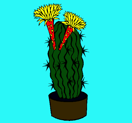 Cactus con flores