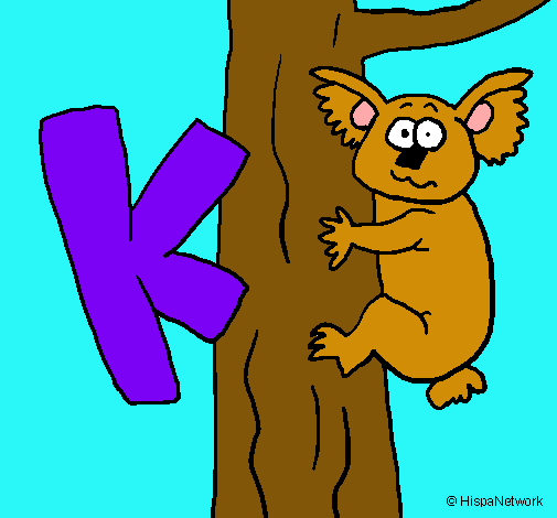 Koala