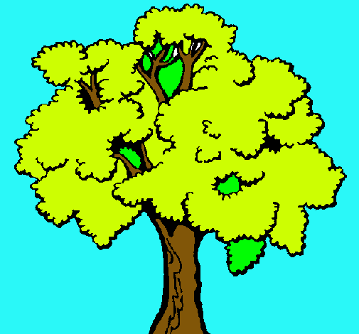 Árbol