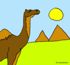 Dibujo Camello pintado por aaaaaaaaaaaa