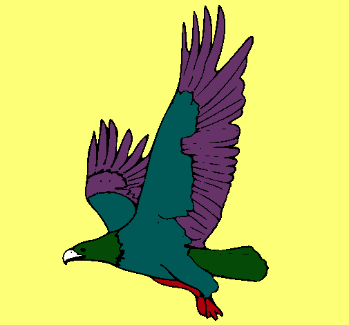 Águila volando