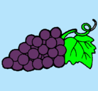 Dibujo racimo pintado por uvas