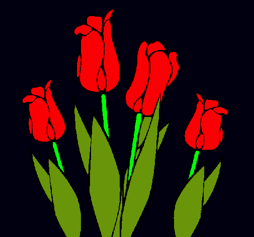 Tulipanes