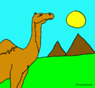 Dibujo Camello pintado por camilourde