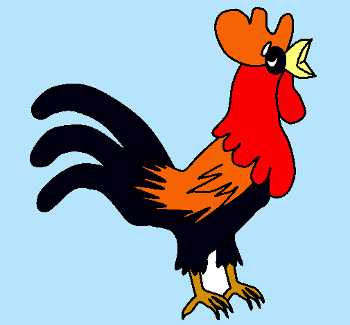 Gallo