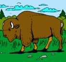 Dibujo Búfalo  pintado por luziernaga
