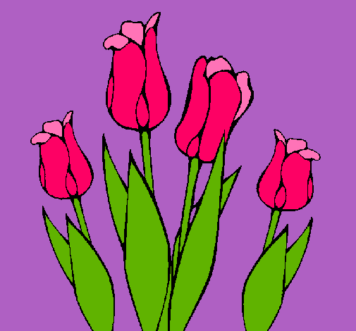 Tulipanes