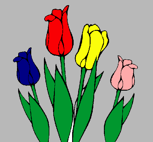 Tulipanes