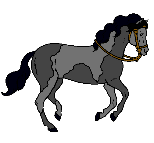 Caballo 5