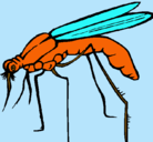 Dibujo Mosquito pintado por alejandrito