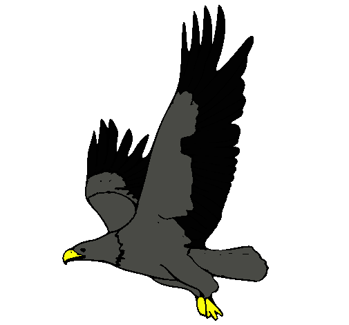 Águila volando