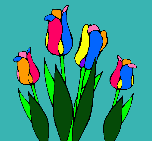 Tulipanes