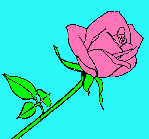Dibujo Rosa pintado por alvaroso