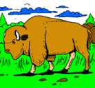 Dibujo Búfalo  pintado por adfs