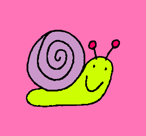 Caracol 4