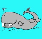Dibujo Ballena pintado por balena