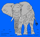 Dibujo Elefante pintado por dibumoises