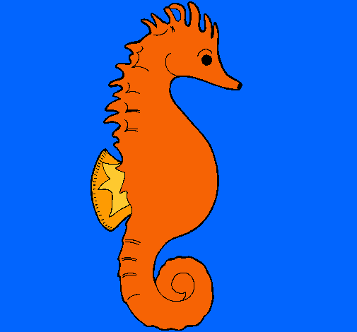 Caballito de mar