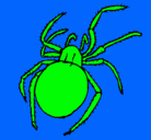 Dibujo Araña venenosa pintado por Cmora10