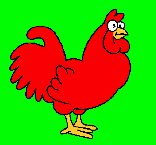 Gallo