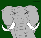 Dibujo Elefante africano pintado por elefaante