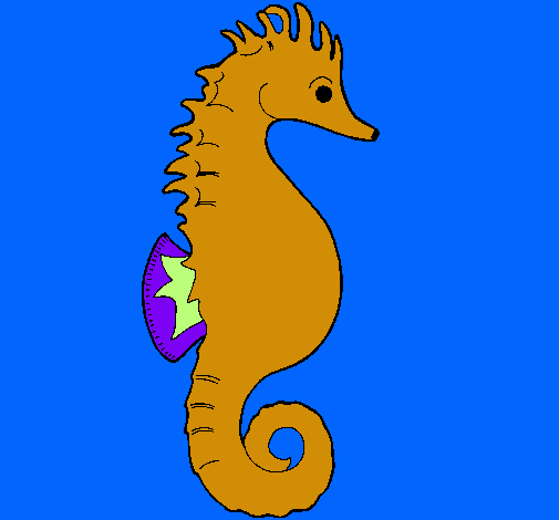 Caballito de mar