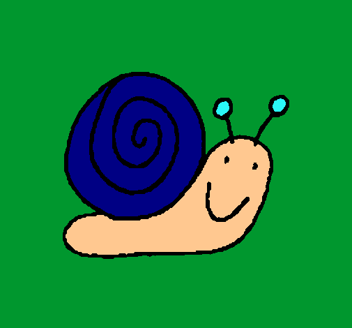 Caracol 4