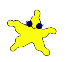 Dibujo Estrella de mar 4 pintado por gulio