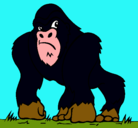 Dibujo Gorila pintado por francovecc