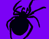 Dibujo Araña venenosa pintado por  lito